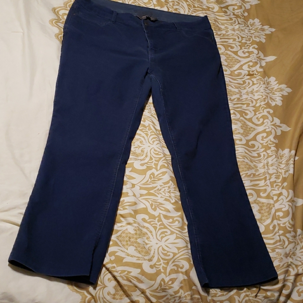 2/$15🦇  Navy corduroy pants